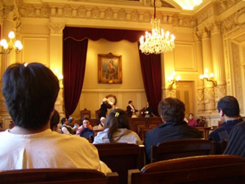 cabildog006